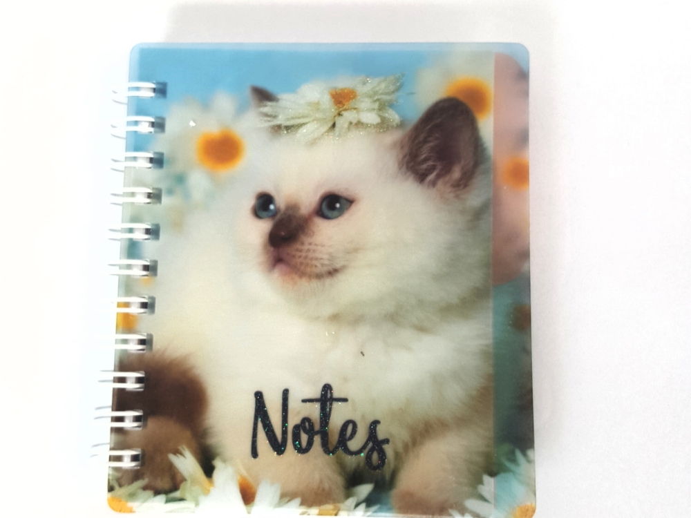 Mini notieboek kat